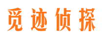 西藏市私人侦探